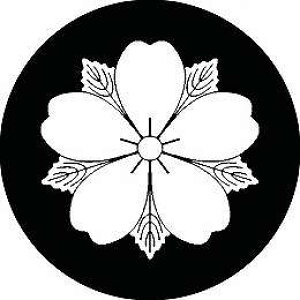 yzƖV[  ی^ or lp KS-2799