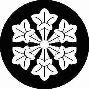 yzƖV[  ی^ or lp KS-2834