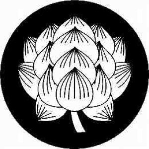 yzƖV[ @ NS4H-057 ی^ or lp KS-3674