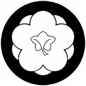 yzƖV[ d~ ی^ or lp KS-4724