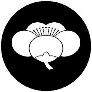 yzƖV[ ~ ی^ or lp KS-5181