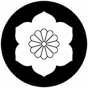 yzƖV[ eԓS ی^ or lp KS-5465