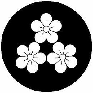 yzƖV[ KO~ ی^ or lp KS-5990