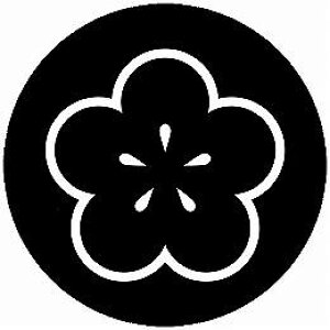 yzƖV[ AԌ~ ی^ or lp KS-6059