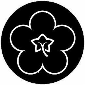 yzƖV[ A~ ی^ or lp KS-6419