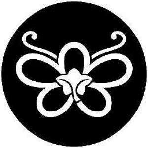 yzƖV[ A~Ӓ ی^ or lp KS-6596