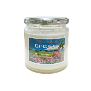 BOLO LMX AhoV~nY ݂͂ eʐ260g GXpZbg z[[N[o[ I