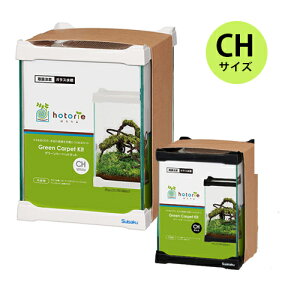 テラリウム キット 熱帯魚 アクアリウム用品の人気商品 通販 価格比較 価格 Com