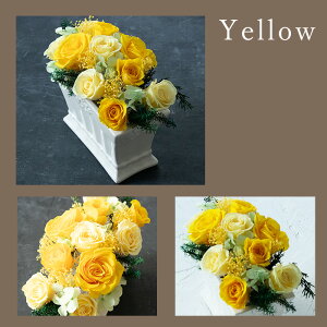 a vU[uht[ GKg AW a v[g Mtg t[Mtg CeA oXPbg LO uU[uht[ A[gt[  ސE