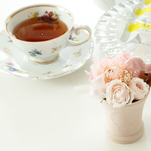 avU[uht[ n[g[Y o a  CeA ސE IV  j  j v`Mtg LO FB uU[ht[ o j җj 