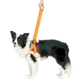 【ペティオ】老犬介護用　歩行補助ハーネス　前足用K　2L【シニア犬用品 老犬介護用品ならペットベリー】