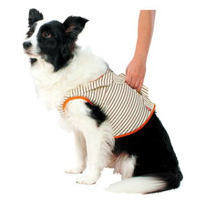 yyeBIzVp@⏕@\txXgK@2L