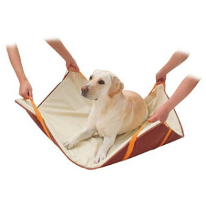 yyeBIzVp@^⏕}bg@E^p