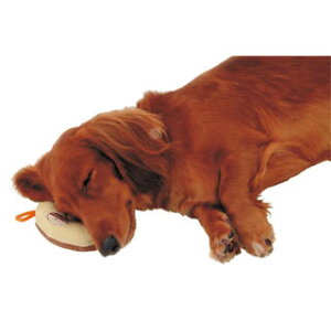 �y�y�e�B�I�z�V����쏰����\�h�N�b�V�����h�[�i�c�^��2����y�V�j�A���p�i �V�����p�i�Ȃ�y�b�g�x���[�z