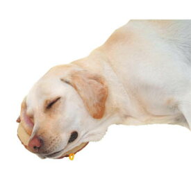 【ペティオ】老犬介護床ずれ予防クッションドーナツ型大【シニア犬用品 老犬介護用品ならペットベリー】