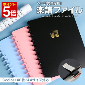 【マラソン★ポイント5倍】 楽譜ファイル 直接 書き込み 書き込める 書ける 楽譜入れ 楽譜 ファイル 譜面ファイル A4 サイズ バンドファイル 反射しない 反射防止 見開き 2面 縦 リング ページ交換可能 ページ入れ替え シンプル 40枚 /楽譜ファイル