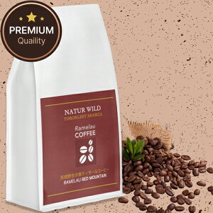 eB[ ArJ100% R[q[  200g 300g 500g 1kg 蓤 VOIWR[q[  Xg[g R[q[  Green Bean ҂ ōv~A R[q[ 2kg R[q[ GXv