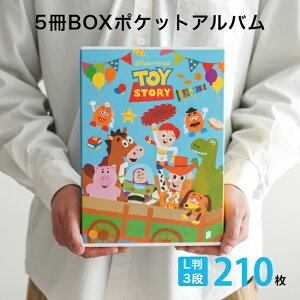 iJoV 5BOX|PbgAo fBYj[ gCEXg[[ L3i 210[ 51g ʐ^ LN^[䎆