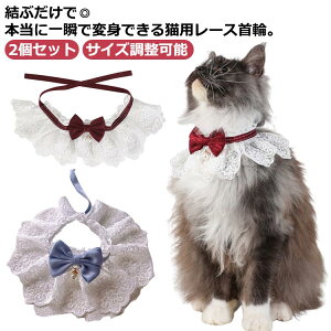  L   lN^C  LEFA ybgANZT[ ybgo_i {  [X ߑ  L 悾ꂩ t^I ybg y L SNSBe ʐ^B y