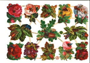 hCc NX[Yƍ NK^ ~co` ԕ(Blumen mit Insekten)fRp[W R[W XNbvsN`[ _CJbg G{X AeB[N