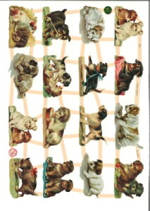 hCc NX킢q (Hunde)fRp[W R[W XNbvsN`[ _CJbg G{X AeB[N