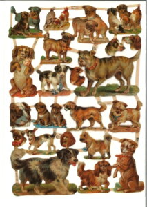 hCc NXqrƎq (Hunde)fRp[W R[W XNbvsN`[ _CJbg G{X AeB[N