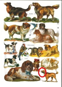 y󂠂菤izhCc NXqrƔLƏ (Hunde)fRp[W R[W XNbvsN`[ _CJbg G{X AeB[N