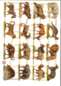 hCc NX쐶̓ ]E V}E} qE CI N_(wilde Tiere)fRp[W R[W XNbvsN`[ _CJbg G{X AeB[N