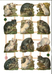 hCc NXbg ˂ (Ratten)fRp[W R[W XNbvsN`[ _CJbg G{X AeB[N