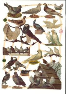 hCc NXngƏ  (Tauben und Blumen)fRp[W R[W XNbvsN`[ _CJbg G{X AeB[N