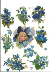 hCc NX ̎q ԕ(blauer Blumenbogen)fRp[W R[W XNbvsN`[ _CJbg G{X AeB[N