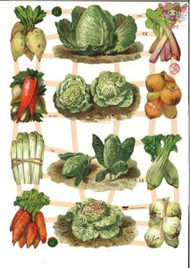 hCc NX xW^u(Gemuse)fRp[W R[W XNbvsN`[ _CJbg G{X AeB[N