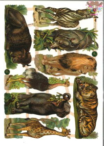 hCc NXToi̓ CI ]E L(Waldtiere)fRp[W R[W XNbvsN`[ _CJbg G{X AeB[N Yꍇ܂