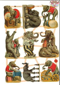 hCc NX]ẼT[JX | (Zirkuselefanten)fRp[W R[W XNbvsN`[ _CJbg G{X AeB[N Yꍇ܂