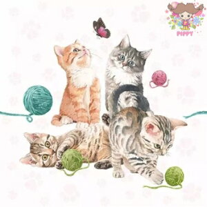 I_ Ambiente fG  y[p[ivL fRp[WюŗVԂ킢qL (Playing Kitten)i20j