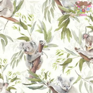 Ambiente �y�[�p�[�i�v�L����Koala Bears�� �i20������j �R�A�� ������ ���[�J�� �I�����_ �f�G ������ �f�R�p�[�W��