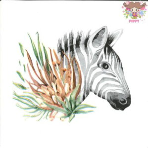 yVX[p[SALE 20OFF&N[| Fasana y[p[ivLTropical Zebra i20jʉ敗 V}E}  A fG  fRp[W