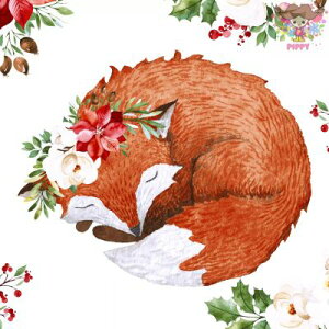 Paper+Design y[p[ivL Floral foxi20jLcl |CZ`A Ԋ  ԕ NX}X fRp[W