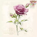 Ambiente ペーパーナプキン☆Vintage Rose☆ （1枚/バラ売り） 薔薇 バラ ばら 手紙 レター 花柄 素敵 お洒落 デコパ…