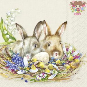 IHR y[p[ivLCUDDLY BUNNIES creami20jETM  ܂ x[  C[X^[ fRp[W  fG  ؂₩ GKg nhCh