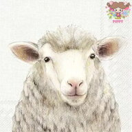 IHR ペーパーナプキン☆FARM SHEEP cream☆（1枚・バラ売り）羊 ひつじ ヒツジ 動物 アニマル デコパージ…