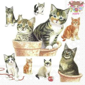 Ambiente ペーパーナプキン☆Cute kittens☆ （1枚/バラ売り） 猫 ねこ ネコ 子猫 かわいい 動物 素敵 お洒落 デコパージュ