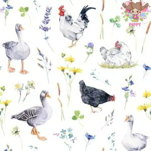 ti-flair y[p[ivLPoultry(20)K`E jg ɂƂ   fRp[W   fG