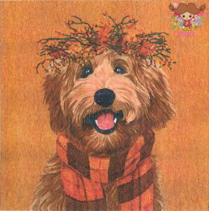 PPD y[p[ivLDudley i20j v[h }t[ H  fG   fRp[W