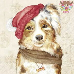 IHR y[p[ivLJACK creami20j  Ck Xq }t[ I[ig NX}X fRp[W  fG 