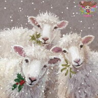 PPD ペーパーナプキン☆Peter, Paul & Mary☆（1枚/バラ売り）ひつじ 羊 ヒツジ ヒイラギ ヤドリギ 雪 動…