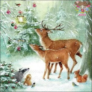 Ambiente y[p[ivLForest celebration i20j     X AiO} X NX}Xc[ ݂̖  NX}X  fG  fRp[W