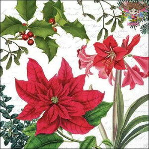 Ambiente y[p[ivLChristmas plants white i20j hM ݂̖ A}X |CZ`A p ԕ NX}X 킢 fG  fRp[W