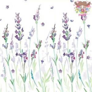Paper+Design y[p[ivL Lavendreami20jx_[ voX X tX ԕ 킢  GKg ؂₩ fRp[W