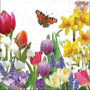 Ambiente y[p[ivLSpring feeling i20j `[bv  ԕ  Jt  킢 fG   GKg fRp[W nhCh